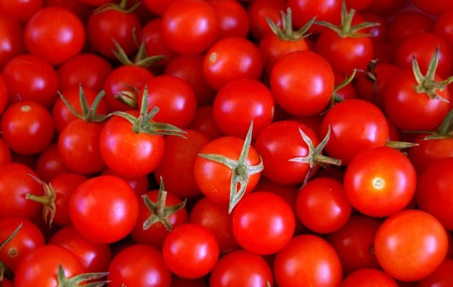 tomates طماطم