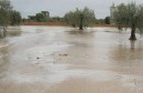 siliana innondation فيضانات