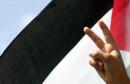 A demonstrator flashes a V-sign before a