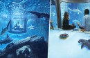 1airbnb-aquarium-paris-