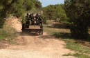 defense tunisie دفاع  جيش