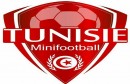 mini_foot_ball