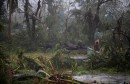 المركز الوطني للأعاصير يحذر فلوريدا من إعصار وعاصفة استوائية