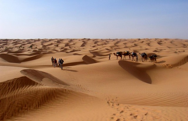 dunes  oasis desert  sahara tourisme  الصحراء  سياحة