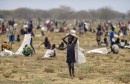 الأمم المتحدة تحتاج إلى 4,4 مليار دولار لمكافحة المجاعة في 4 دول بينها اليمن