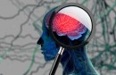 3D medical background with magnifying glass examining brain depicting alzheimers research. 3d illustration
