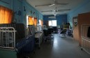 645x344-gaza-hospital-to-shut-down-within-days-if-doesnt-get-fuel-1536789092967