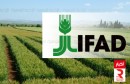 ifad _صندوق الدولي للتنمية الزراعية
