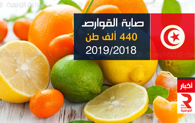 صابة القوارص تقدر ب 440 ألف طن للموسم 2019 2018