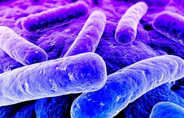 bacterie-gram-negatif-multiresistance-antibiotique