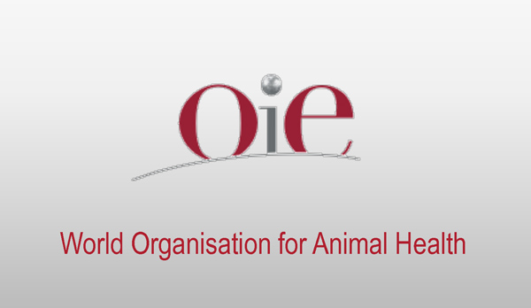 منظمة العالمية للصحة الحيوانية