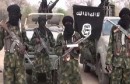 مقتل 10 جنود نيجيريين بهجوم لـداعش