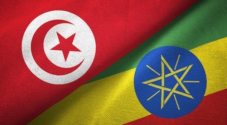 tunisia-ethiopia-two-flags-textile-260nw-1397190449