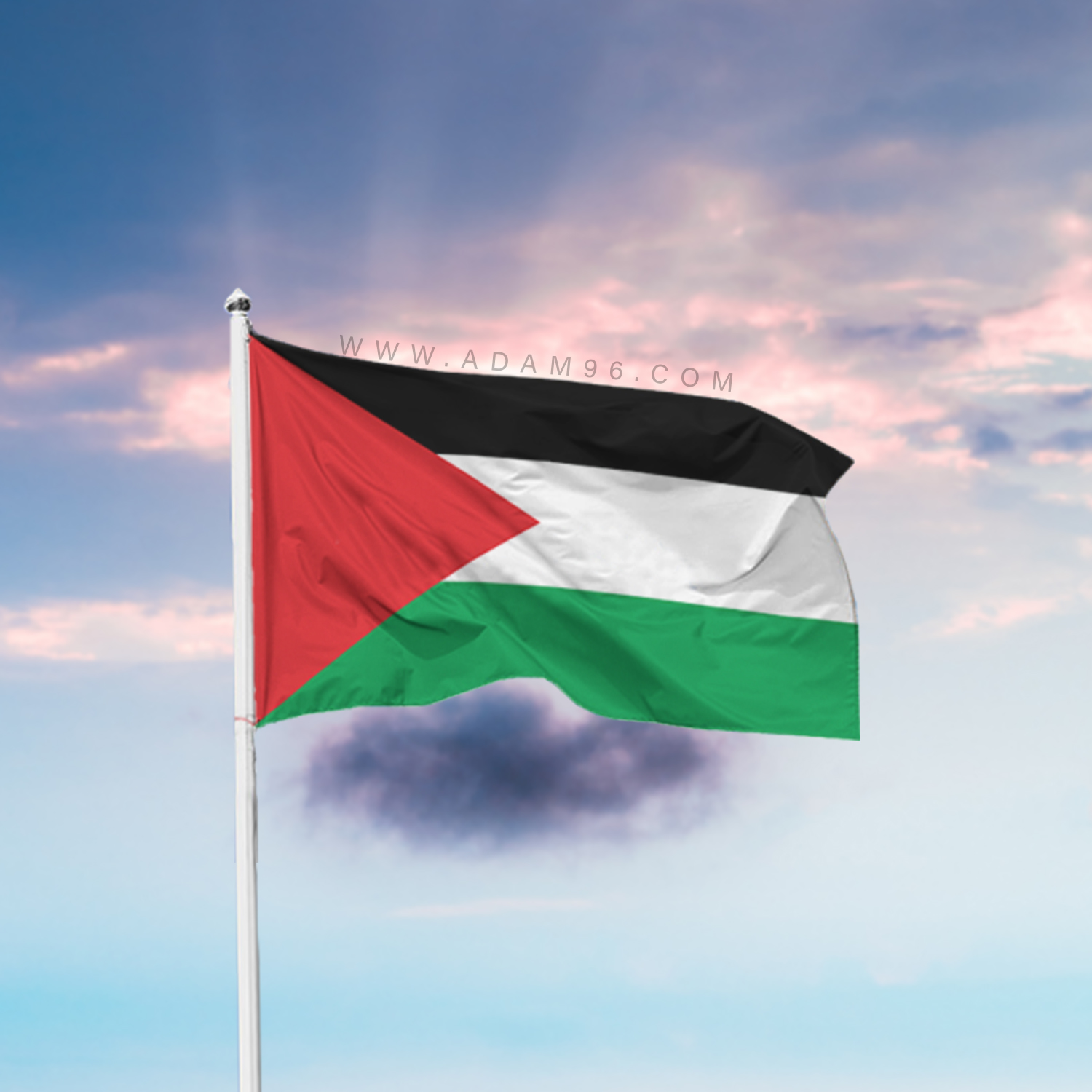 علم فلسطين يرفرف