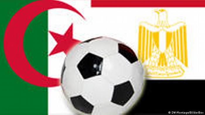مصر الجزائر