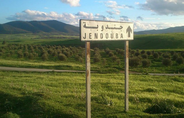 jendouba