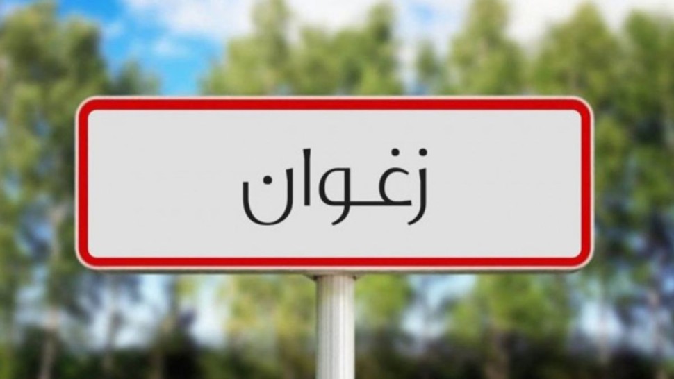 زغوان